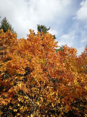 上甘岭溪水国家森林公园