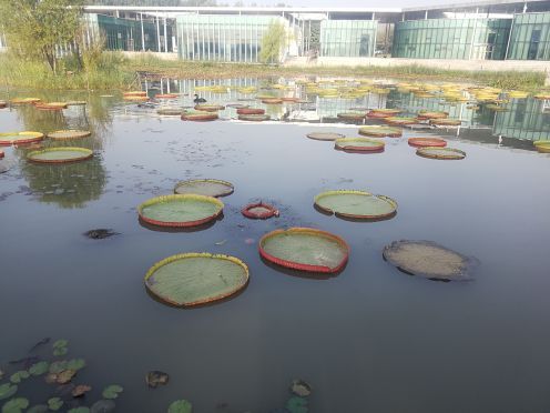 微山湖湿地博物馆