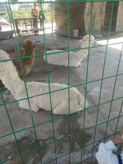 石崆寨旅游景区