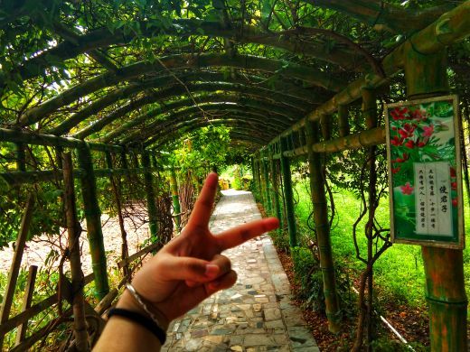 丹樱农业生态园