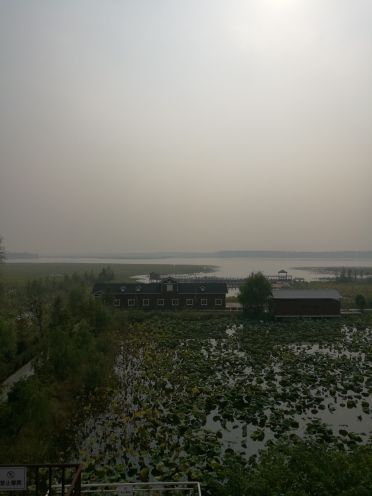 宝应湖国家湿地公园