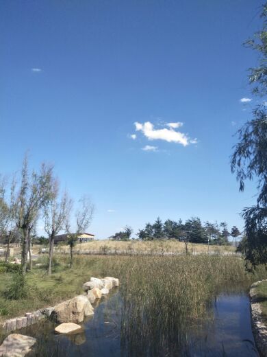 海泉湾天创大剧院