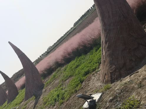 古柏渡飞黄旅游区