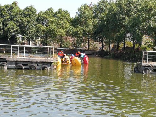 锦林佛手文化园