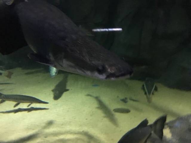 江西瑞金九丰极地海洋世界