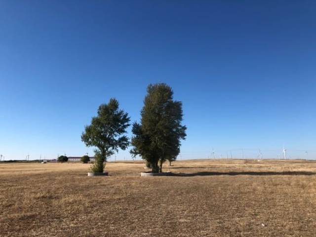 珠日河草原旅游区