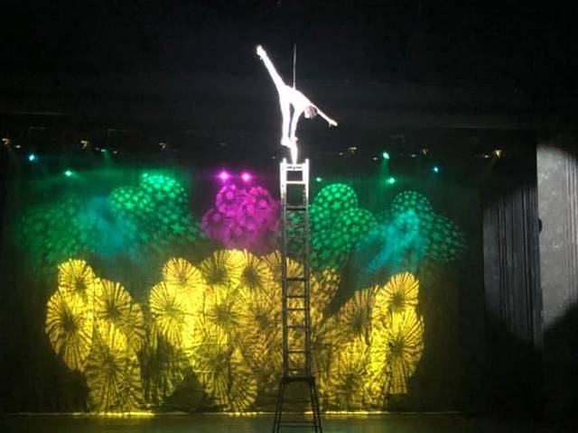 《新梦幻漓江》大型山水情景剧