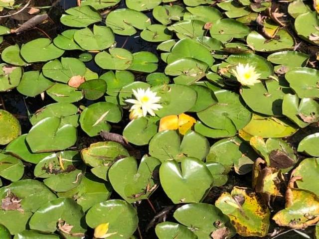 微山湖湿地博物馆