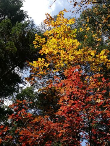 上甘岭溪水国家森林公园