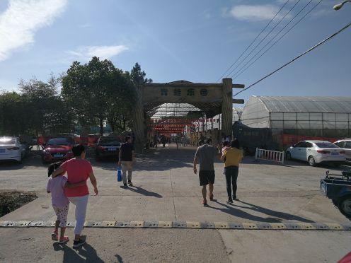 锦林佛手文化园