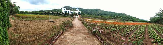 丹樱农业生态园