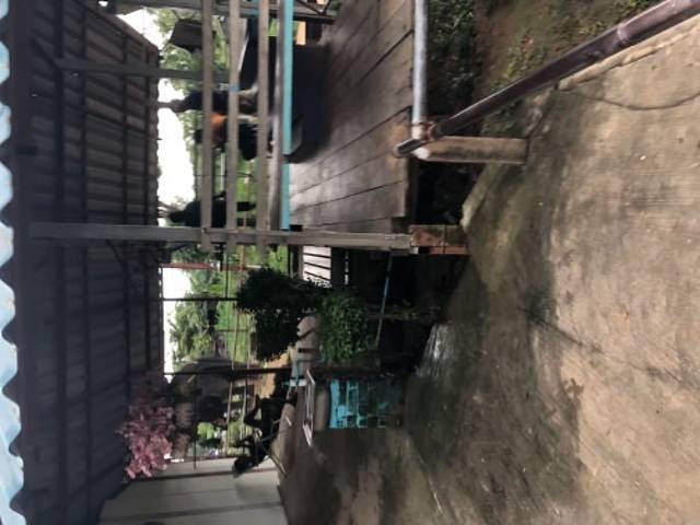 Road Runner Buggy and ATV Adventure Phuket