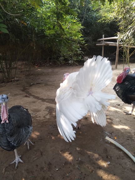 五龙山响水河水上乐园