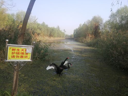 微山湖湿地博物馆