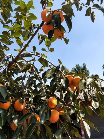 临沂国际影视城