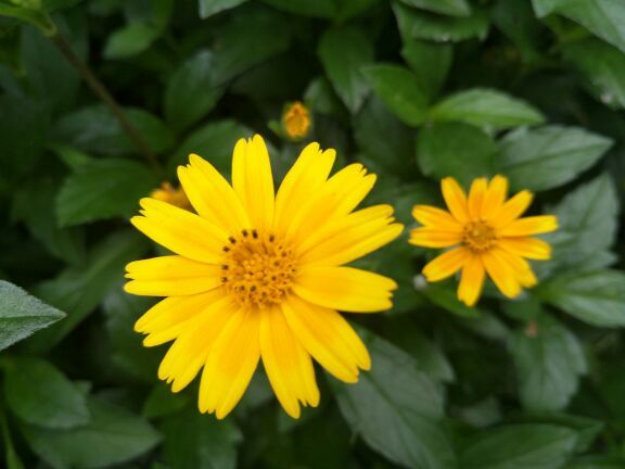 潮州绿岛旅游山庄