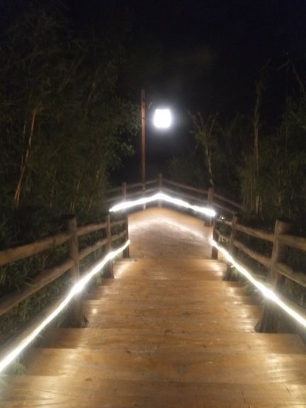 龙翔谷养生温矿泉