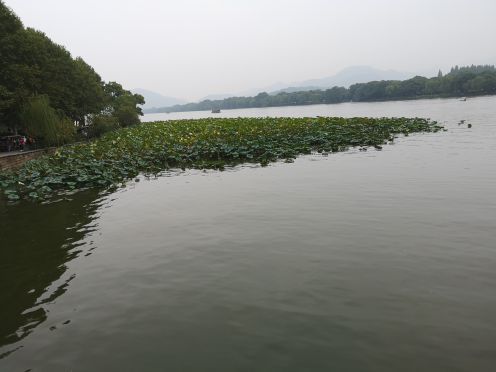 钱塘苏小小之墓