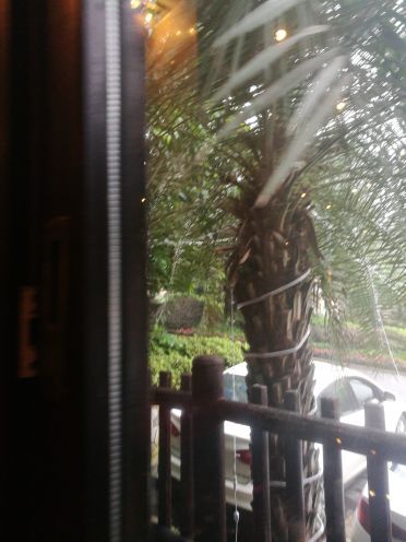 天赐华汤森林温泉(重庆璧山店)