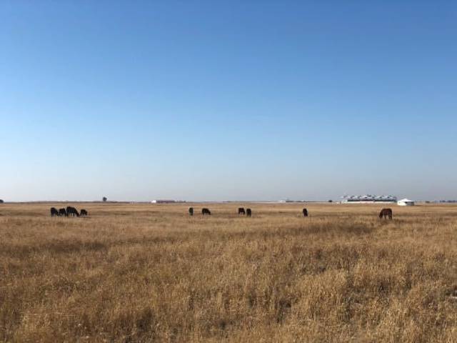 珠日河草原旅游区