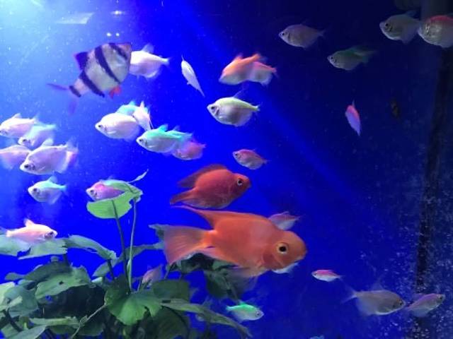 江和美海洋公园