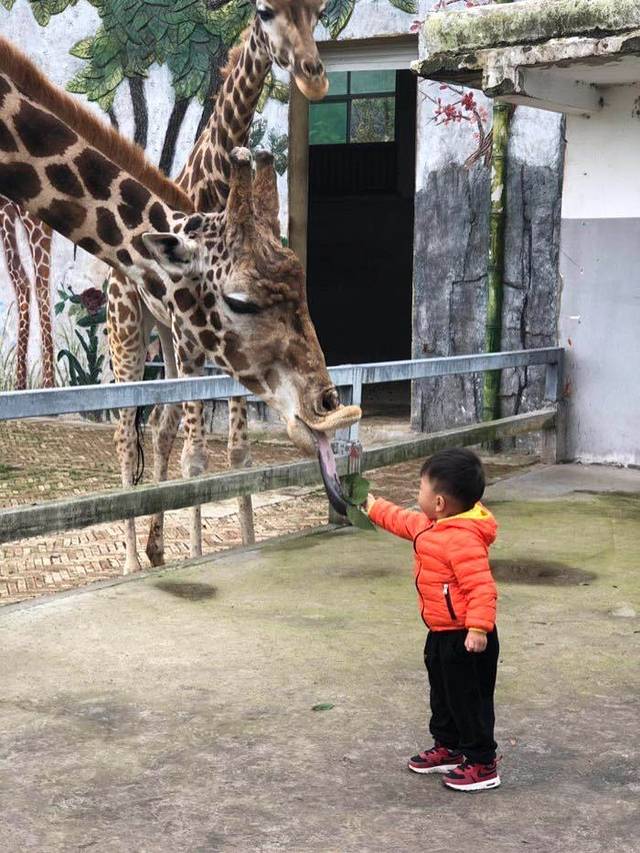 贵州森林野生动物园