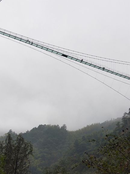 灵江源森林公园