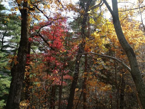 上甘岭溪水国家森林公园