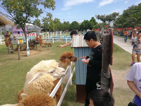 锦林佛手文化园