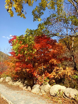 本溪老边沟风景区旅游景点攻略图