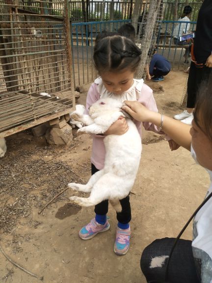 五龙山响水河水上乐园