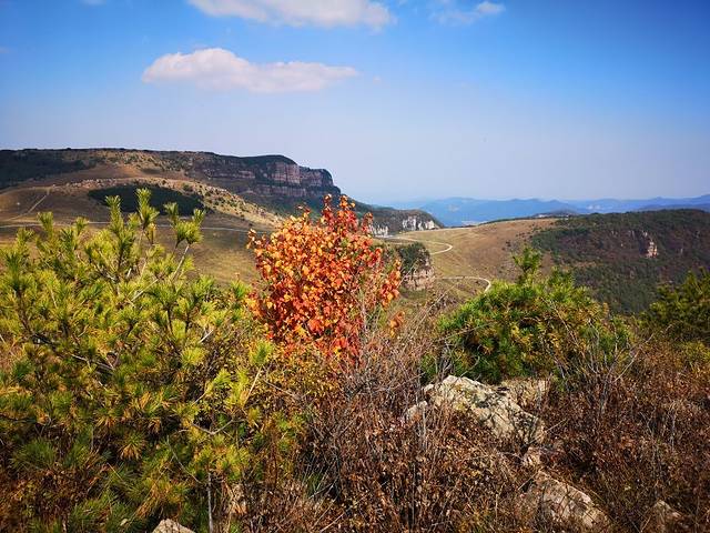沁水历山国家森林公园