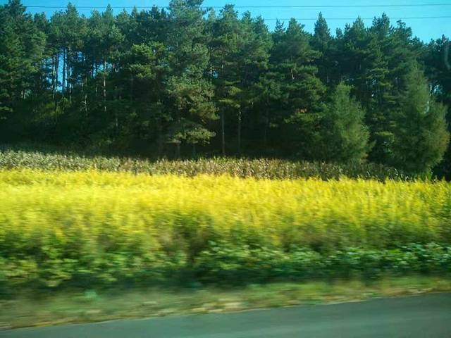 筐子沟生态风景区