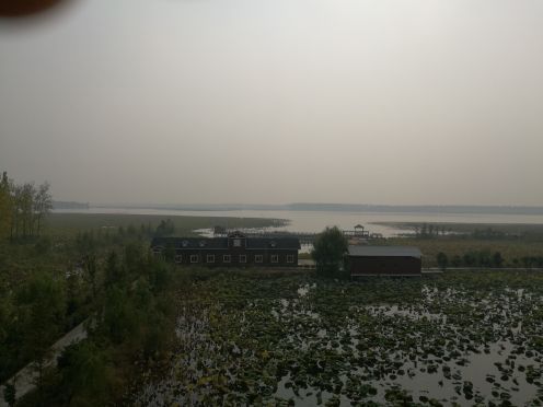 宝应湖国家湿地公园