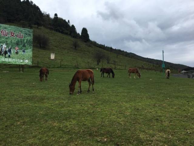 武隆仙女峡漂流
