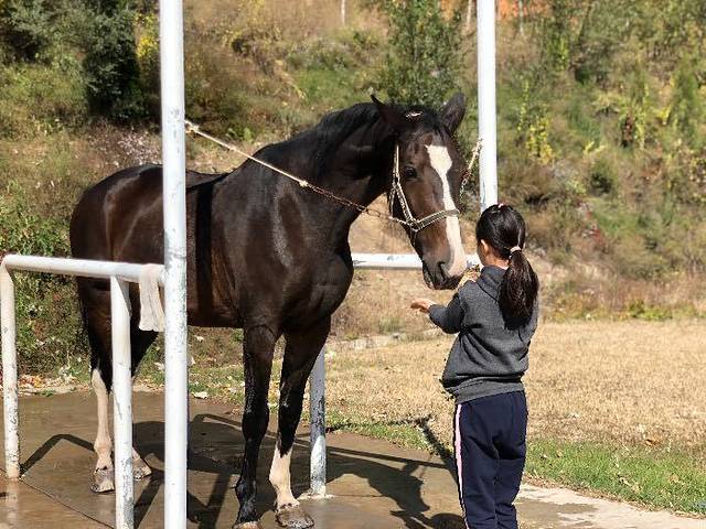 奔腾年代马术俱乐部
