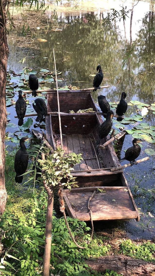 微山湖湿地博物馆