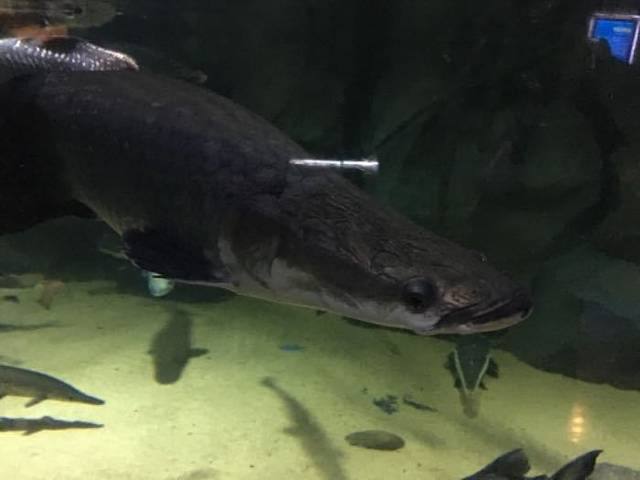 江西瑞金九丰极地海洋世界