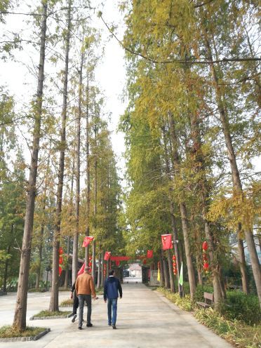 宝应湖国家湿地公园