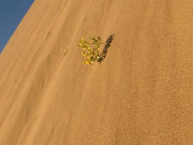 金沙湾生态旅游区