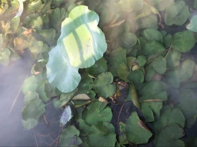 微山湖湿地博物馆