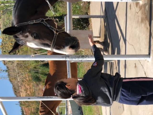 奔腾年代马术俱乐部