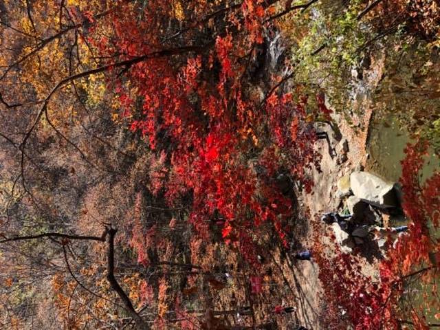 筐子沟生态风景区