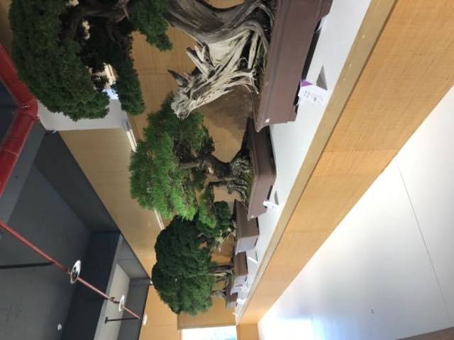 扬州园博会（园博园）