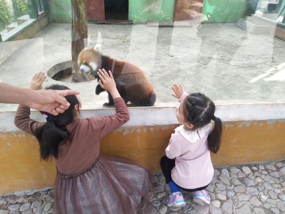 五龙山野生动物王国