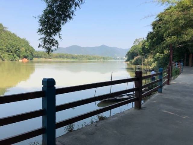 绥江竹海生态旅游景区