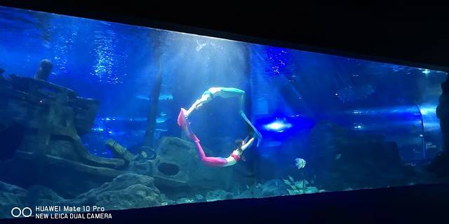 江和美海洋公园