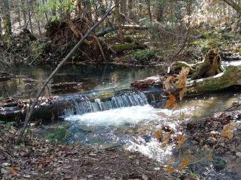 上甘岭溪水国家森林公园