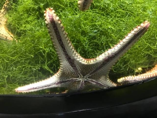 江和美海洋公园