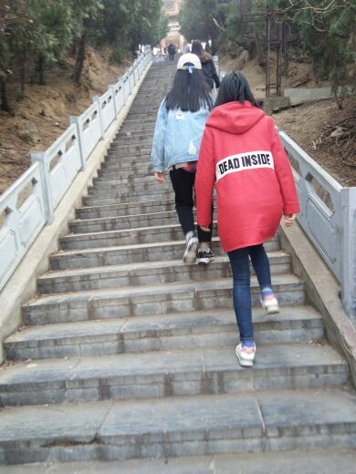 禹州森林植物园